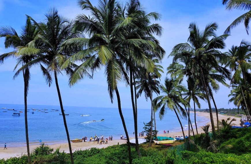 Coconut Grove Beaches