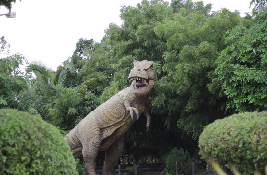 Science and Technology Museums