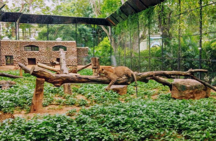 Zoo