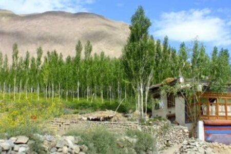 Alchi Gompa Monastery, Leh