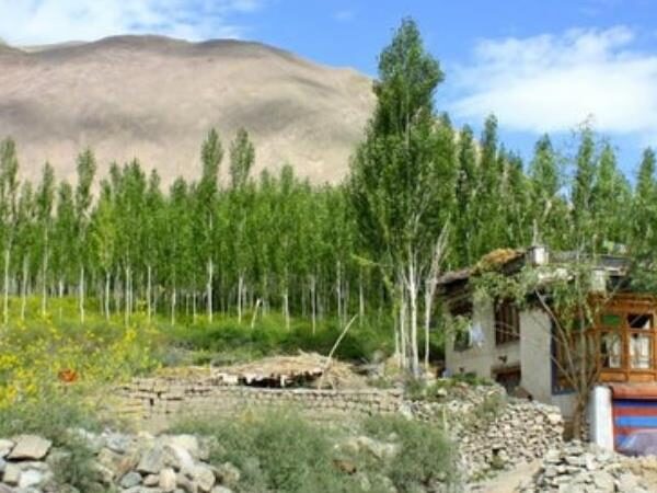 Alchi Gompa Monastery, Leh
