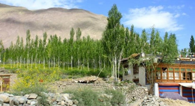 Alchi Gompa Monastery, Leh