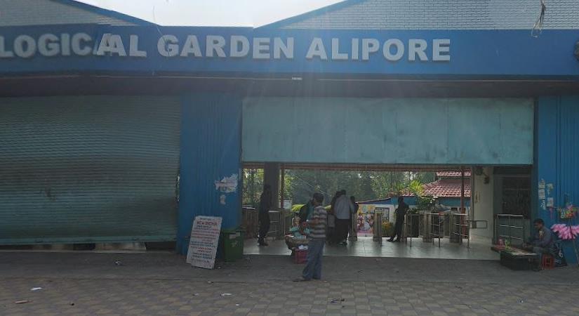 Alipore Zoological Gardens, Kolkatta