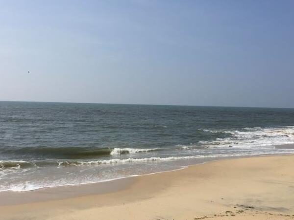 Alleppey Beach