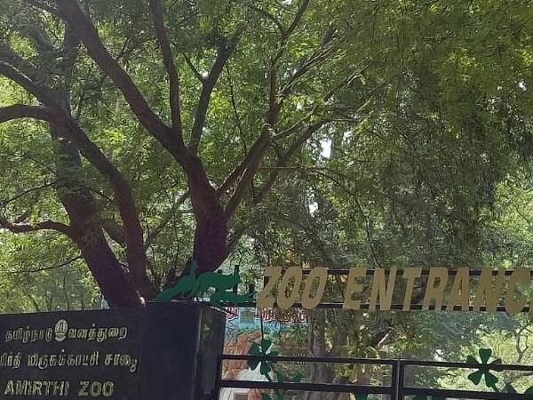 Amirthi Zoological Park, Vellore
