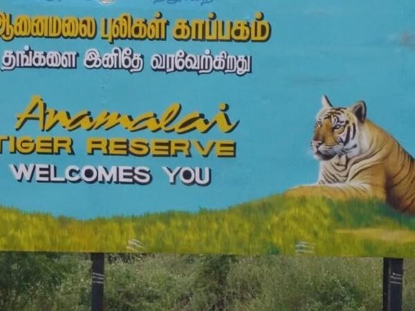 Anamalai Wild Life Sanctuary
