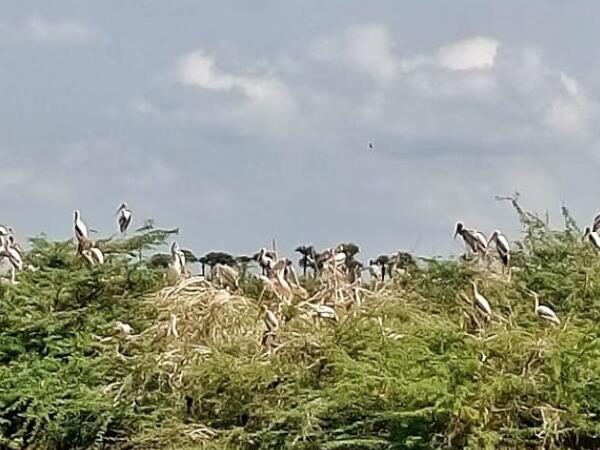 Atapaka Bird Sanctuary