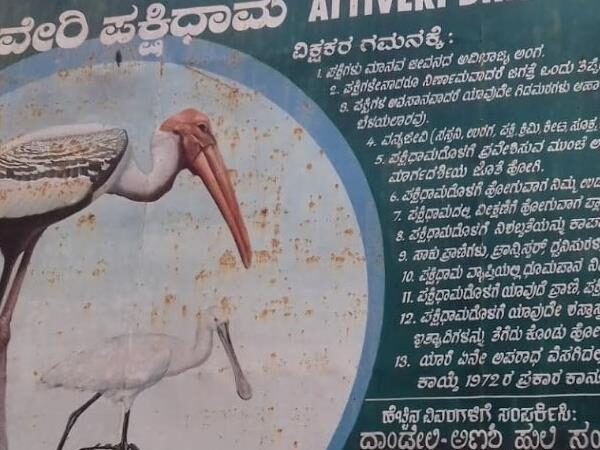 Attiveri Bird Sanctuary