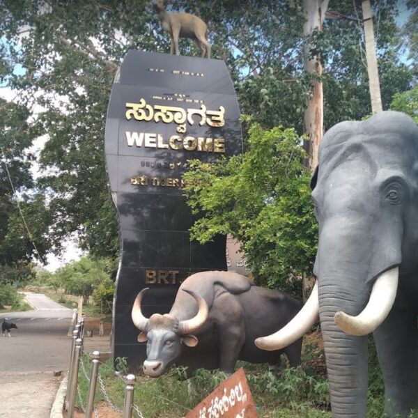 Biligiri Ranganatha Tiger Reserve