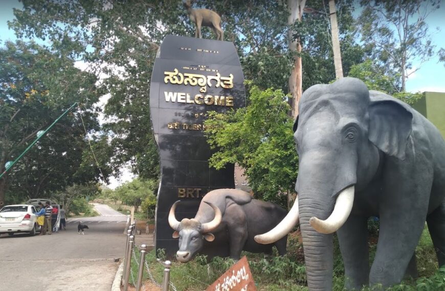 Biligiri Ranganatha Tiger Reserve