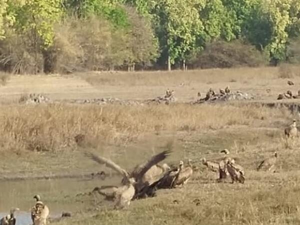 Bandhavgarh Tiger Reserve