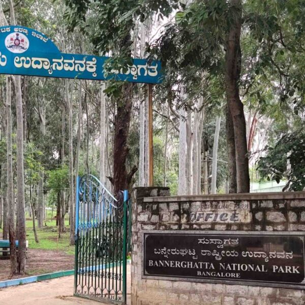 Bannerghatta National Park, Bangalore