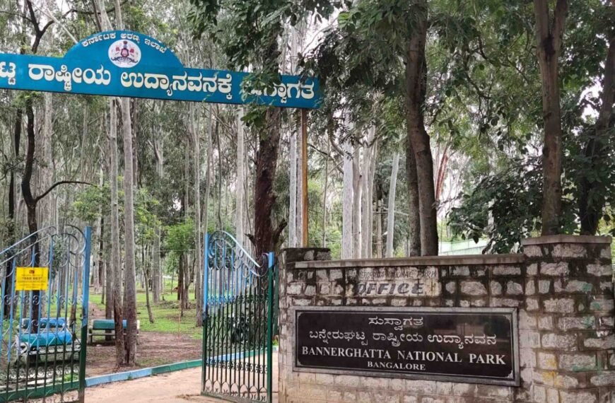 Bannerghatta National Park, Bangalore