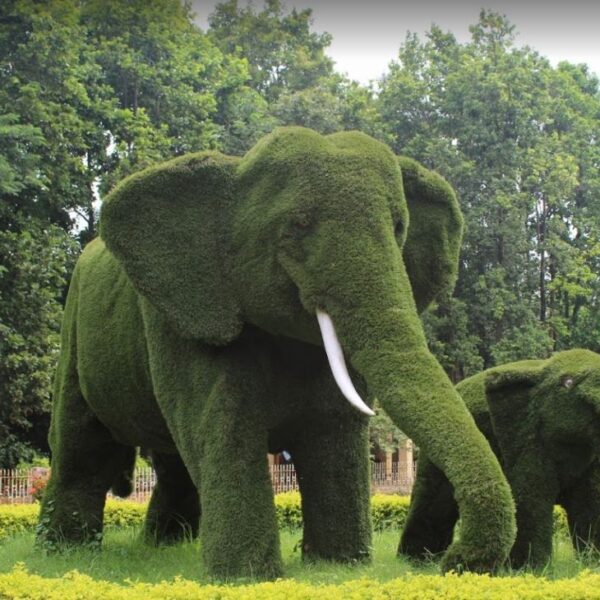 Bhagwan Birsa Biological Park, Ranchi