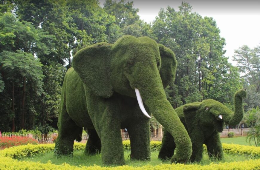 Bhagwan Birsa Biological Park, Ranchi