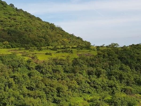 Bhaskargad/Basgad Fort