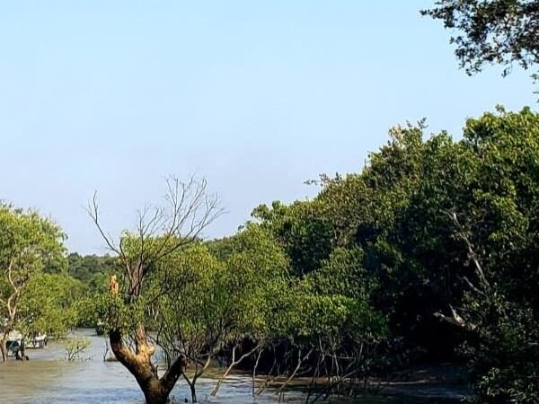 Bhaitarkanika National Park, Odisha