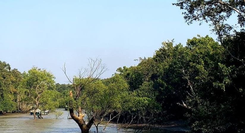 Bhaitarkanika National Park, Odisha