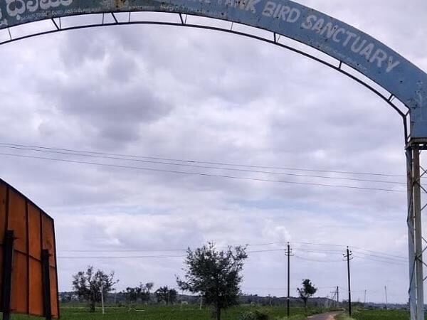 Bonal Bird Sanctuary