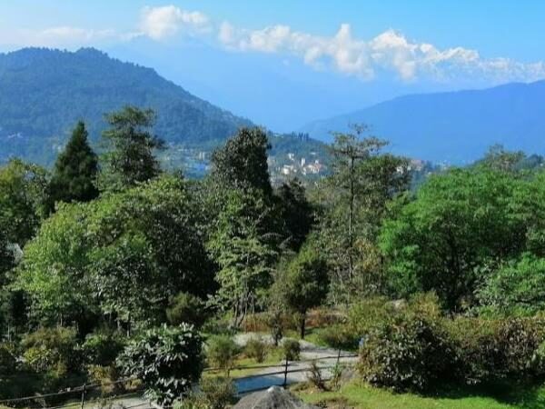Botanical Garden, Gangtok