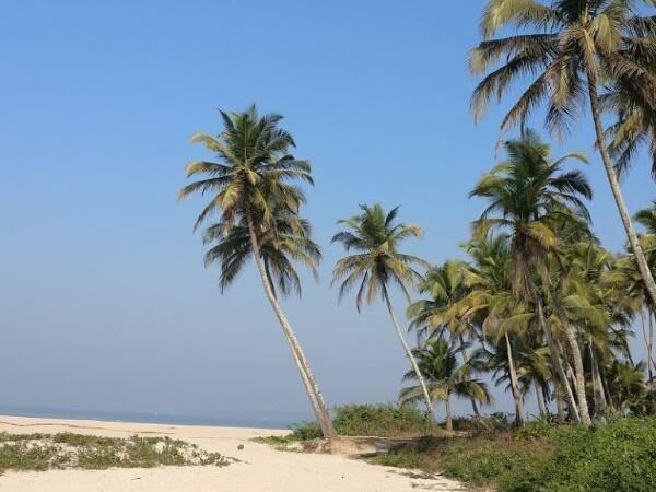 Cansaulim Beach