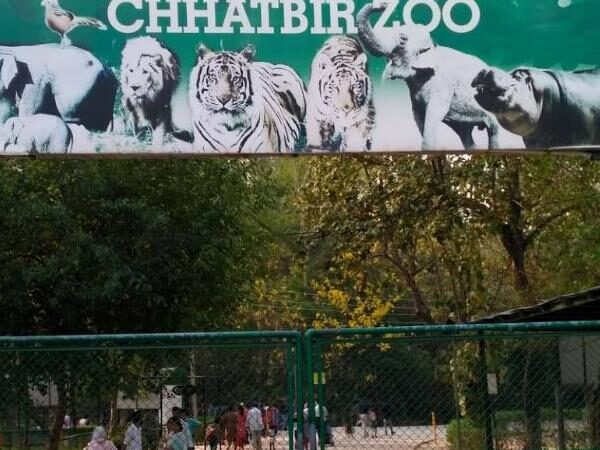 Chhatbir Zoo, Zirkapur