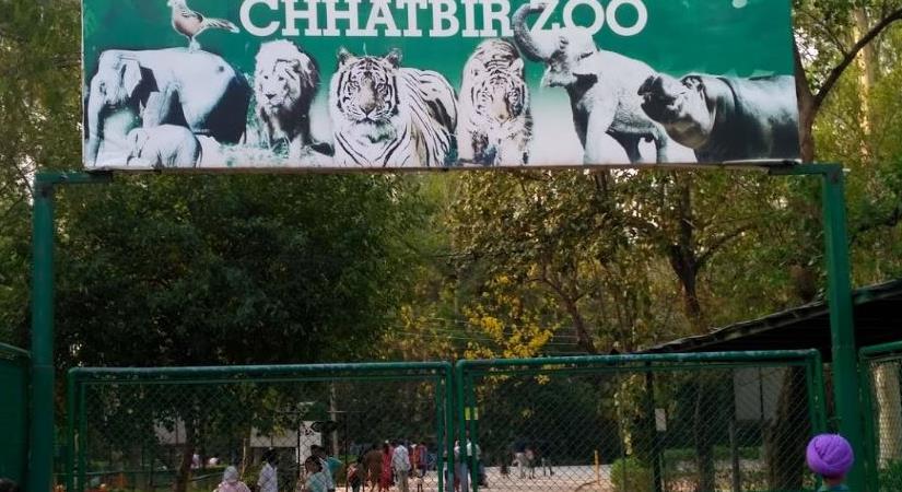 Chhatbir Zoo, Zirkapur