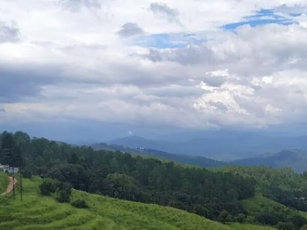 Chaubatia Garden, Uttarakhand
