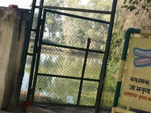Crocodile Breeding Centre, Kurukshetra