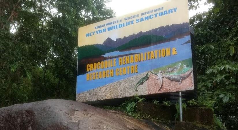 Crocodile Rehabilitation and Research Centre, Thiruvananthapuram
