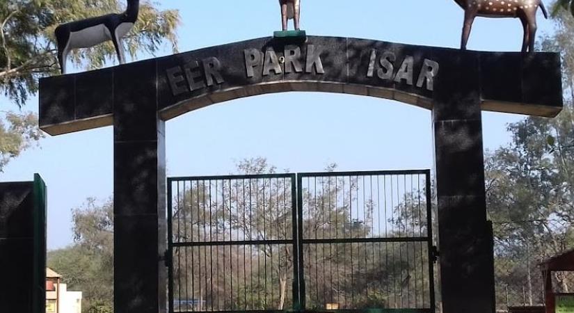 Hisar Deer Park