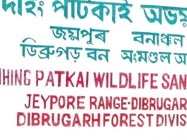 Dihing-Patkai Elephant Reserve