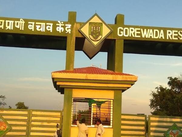 Gorewada Zoo Nagpur