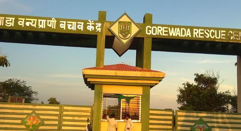 Gorewada Zoo Nagpur