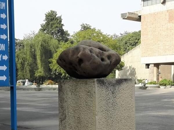 Government Museum and Art Gallery- Chandigarh