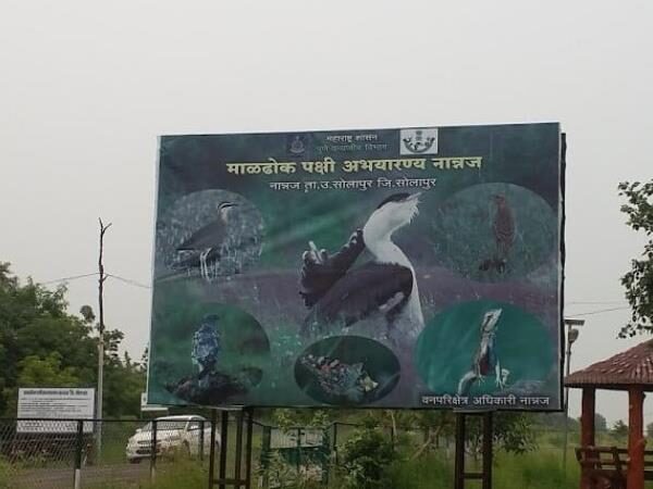 Great Indian Bustard Sanctuary