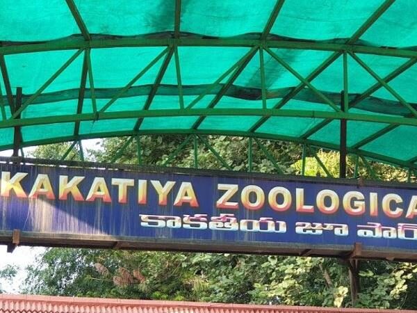 Kakatiya Zoological Park, Warangal