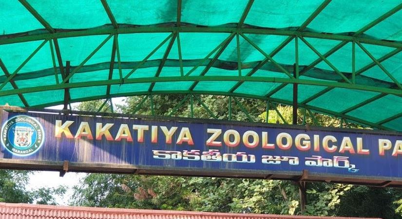 Kakatiya Zoological Park, Warangal