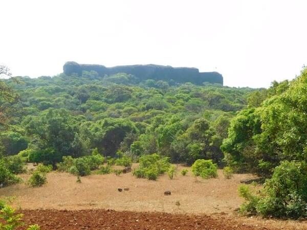 Kamalgad Fort