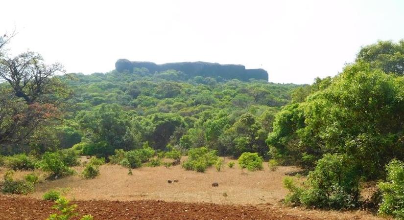 Kamalgad Fort