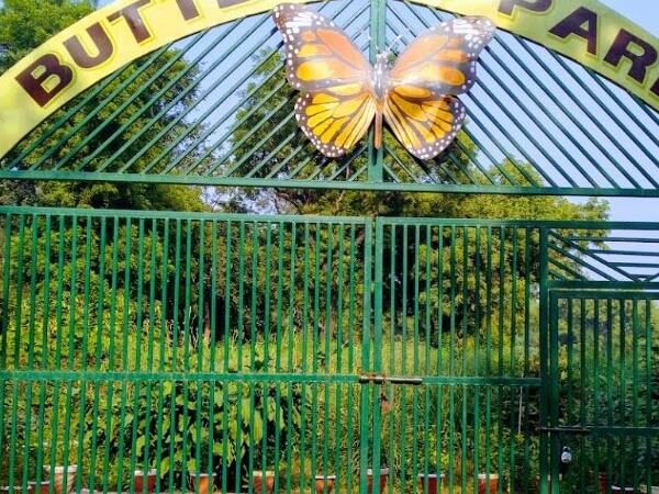 Allen Forest Zoo, Kanpur