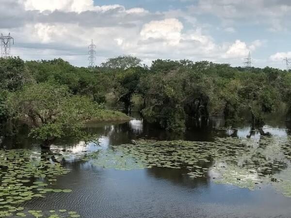 Karikali Bird Sanctuary