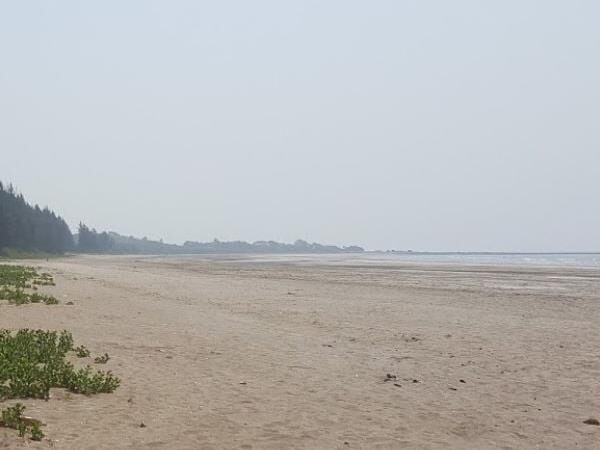 Kelshi Beach