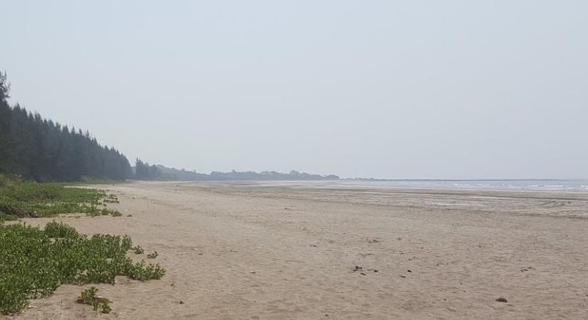 Kelshi Beach