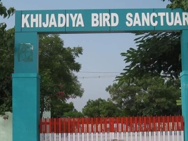 Khijadiya Bird Sanctuary