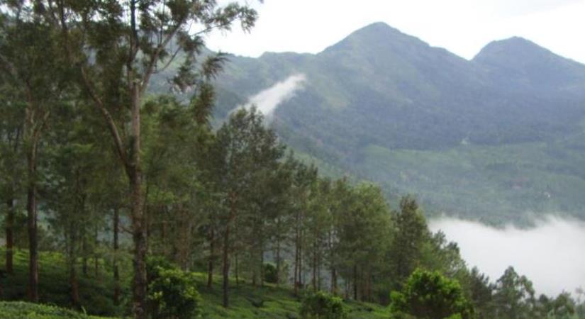 Kolli Hills, Tamil Nadu