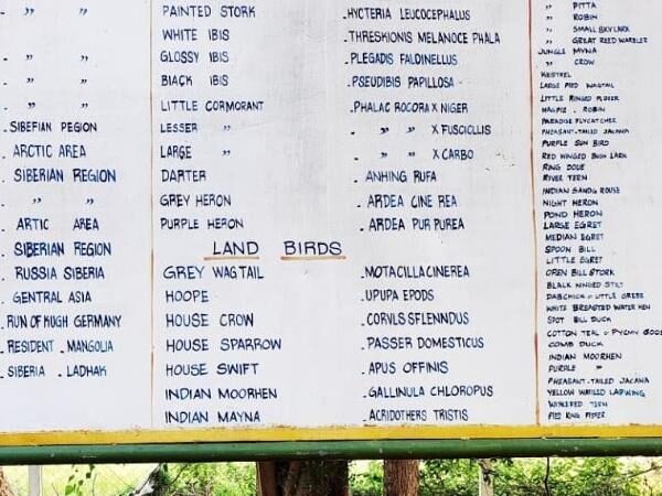 Koothankulam Bird Sanctuary