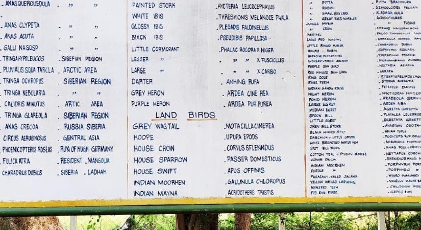 Koothankulam Bird Sanctuary