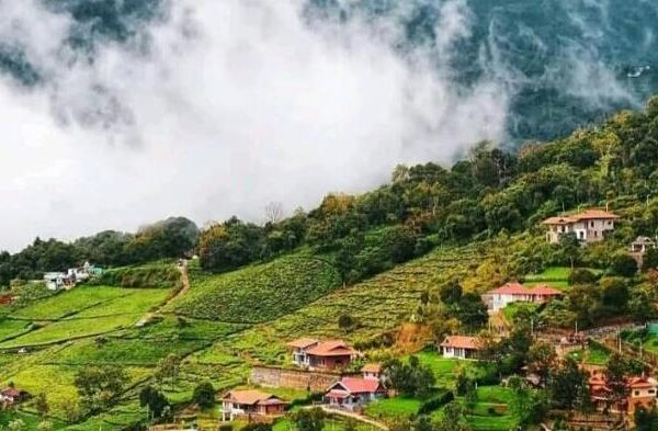 Kotagiri, Tamil Nadu
