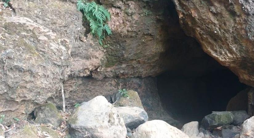 Krem Puri Cave, Meghalaya